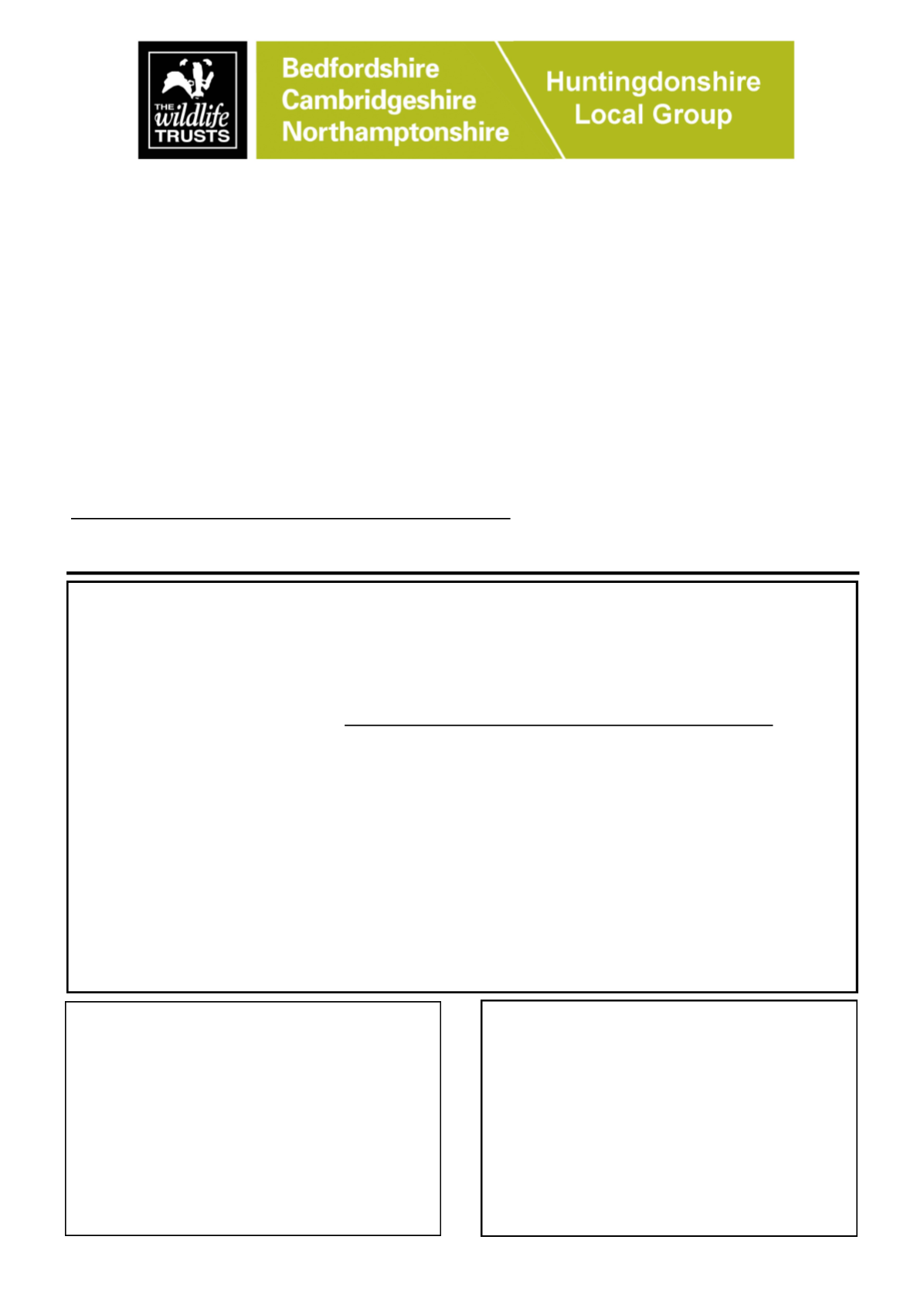 Page Background